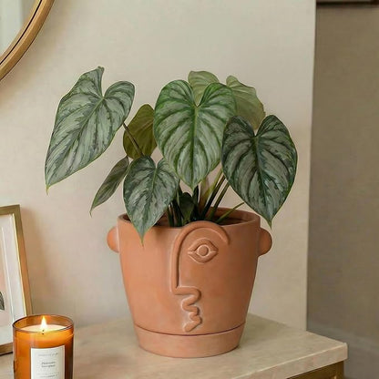 8 Inch Terracotta Abstract Face Planter with Drainage & Saucer – Large Artistic Statement Pot for Indoor & Outdoor Plants, Sculptural Boho Home Decor, Unique Art Gift
