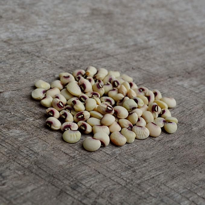Pink-Eyed Purple Hull Cowpea - 50 Seeds - Heirloom Variety, USA-Grown, Non-GMO Purple Hull Pea Seeds for Planting Outdoors in The Home Garden, Thresh Seed Company