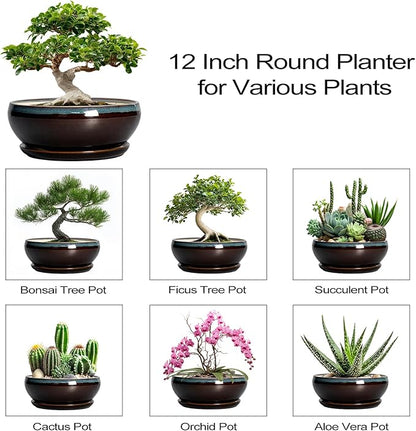 SQOWL Bonsai Planter 12 Inch - Ceramic Succulent Pots Large, Round Shallow Plant Pots Indoor with Drainage Hole and Saucer, Bowl Planter Outdoor for Flower, Room Decor, Housewarming Gifts, Blue-Brown