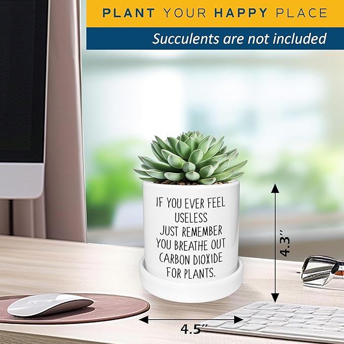 Cute Succulent Pots for Office - If You Ever Feel Useless Just Remember You Breathe Out Carbon Dioxide for Plants, Cute Plant Pots Desk Planter, Funny Pot for Plant