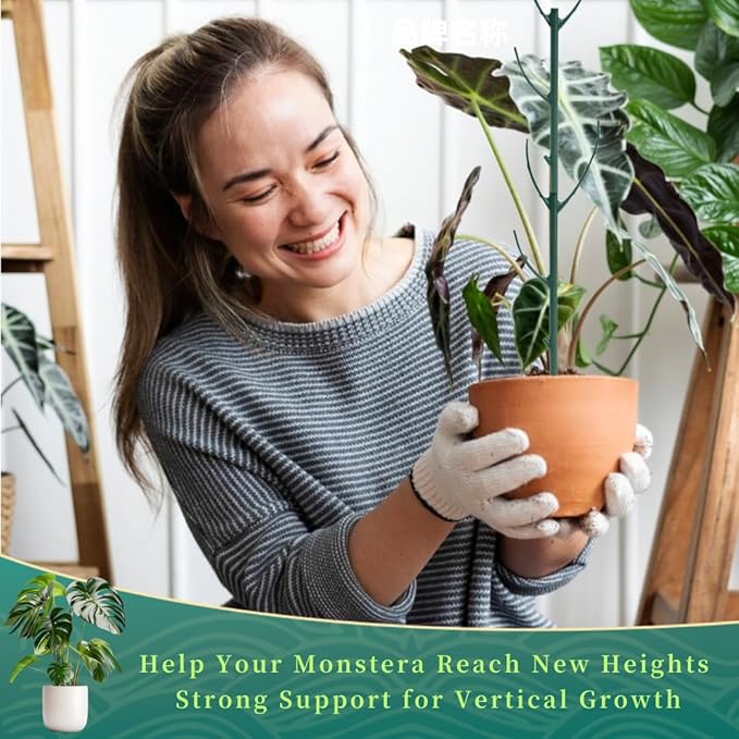 6 Pack Monstera Plant Support, 43inch Stackable Plant Stakes with 20Pcs Clips & 1Pcs Ties, Alternative to Moss Pole Plants Sticks Structures for Climbing Indoor Outdoor Potted Plants