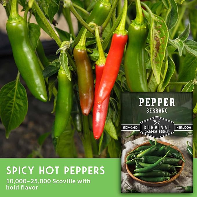 Mexican Serrano Pepper Seeds for Planting | Fresh Hot Chili & Green Hot Pepper Seeds – Heirloom Non-GMO Variety for Sauce, Salsa & Pickling – Survival Garden Seeds (5 Packs)