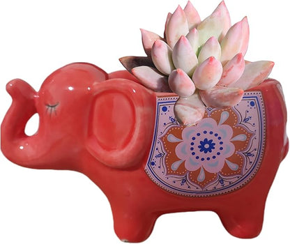 Cute Animal Elephant Shaped Ceramic Succulent Cactus Air Plant Flower Pots Planters-Plant Not Included (Red)