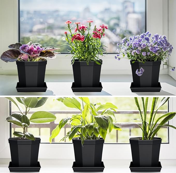 Square Plant Saucer 10 Inch 5 Pack, Plastic Plant Water Dray Tray Plants, Pot Saucers for Plants Square Planters for Indoors and Outdoors Plants, Garden Saucer for Plant Pots.