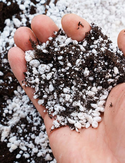 TOYPOPOR Perlite for Plants, (6qt) 3-6mm Organic Perlite for Gardening, Perlite for Plants Indoor, Soil Additive Conditioner Mix Improve Drainage and Ventilation Promote Root Growth and Soil Health