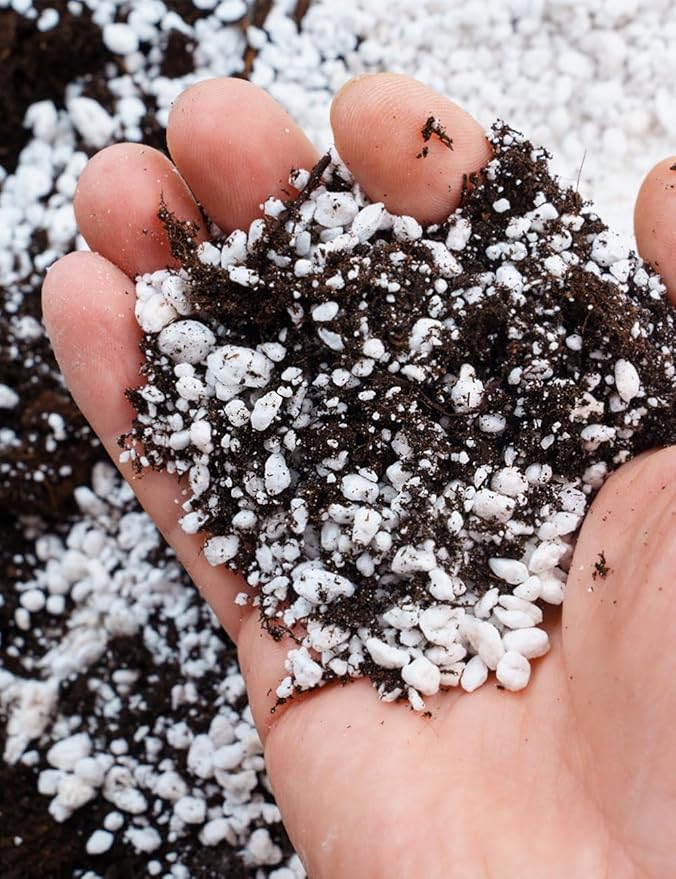 TOYPOPOR Perlite for Plants, 3-6mm Organic Perlite for Gardening, Perlite for Plants Indoor, Soil Additive Conditioner Mix Improve Drainage and Ventilation Promote Root Growth and Soil Health 1qt