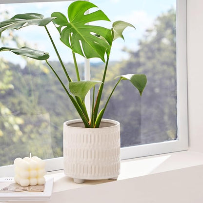 5 Inch Ceramic Planters for Indoor Plants, White Cactus Snake Plant Pots with Drainage, Unique Design Round Flower Pot for Home Decoration
