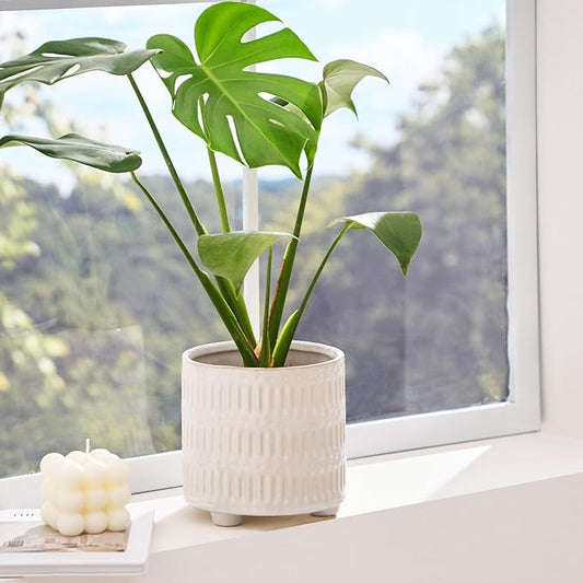 5 Inch Ceramic Planters for Indoor Plants, White Cactus Snake Plant Pots with Drainage, Unique Design Round Flower Pot for Home Decoration
