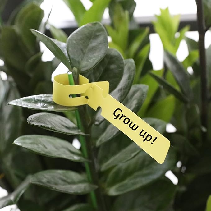KINGLAKE 200 Pcs Plastic Plant Tree Tags Nursery Garden Lables 2x20cm Wrap Around Hanging Tags Nursery Garden Stakes Large Writing Surface Multicolord