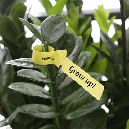 KINGLAKE 200 Pcs Plastic Plant Tree Tags Nursery Garden Lables 2x20cm Wrap Around Hanging Tags Nursery Garden Stakes Large Writing Surface Multicolord