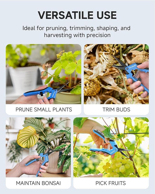 Fondwell 6.5" Pruning Shears Trimming Scissors: 2 Pack of Non-Stick Gardening Scissors - Reliable Garden Snips for Managing Small Plants