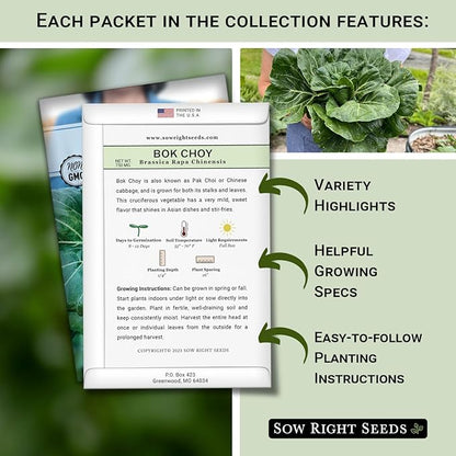Sow Right Seeds - Hydroponic Vegetable Seeds for Planting - Lettuce, Kale, Arugula, Pak Choi, Watercress & Cherry Tomato Seeds for Planting and Growing Hydroponics - Perfect for Indoor Growing System