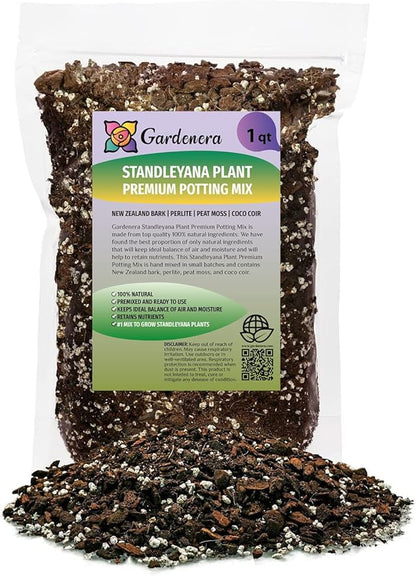 GARDENERA Premium Monstera Standleyana Potting Mix - Expertly Crafted for Healthy Growth - 1 Quart
