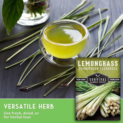 Lemongrass Seeds for Planting - Lemon Scented Asian Lemongrass for Your Home Vegetable Garden - Heirloom Non-GMO Open-Pollinated - Survival Garden Seeds (3 Packs)