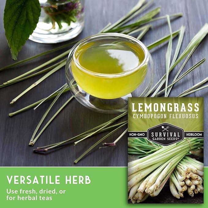 Lemongrass Seeds for Planting - Lemon Scented Asian Lemongrass for Your Home Vegetable Garden - Heirloom Non-GMO Open-Pollinated - Survival Garden Seeds (5 Packs)