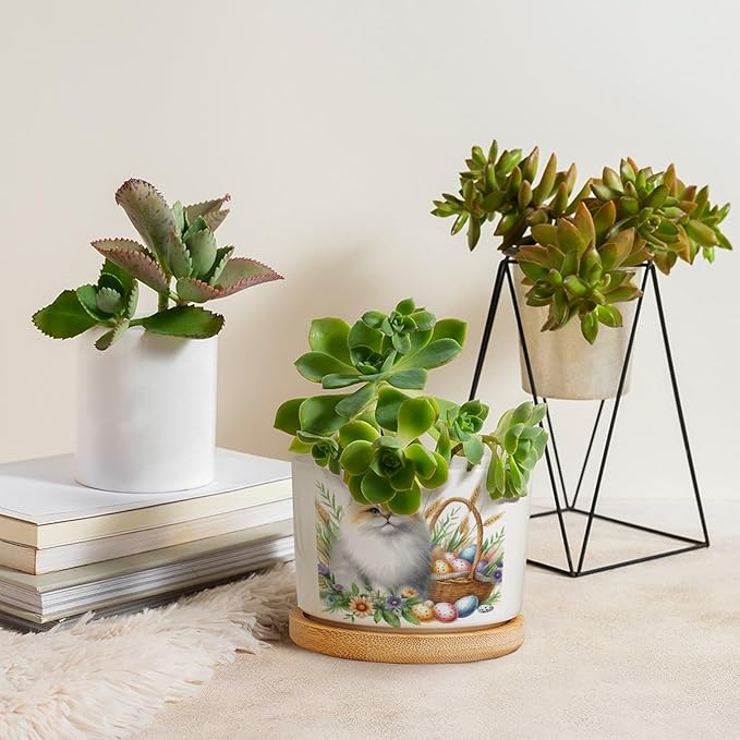 DreamAutumn Watercolor Easter Cat Ceramic Flower Pots,Gardening Plant Pot with Drainage Holes and Saucers Round Ceramic Pots for Indoor Plants Succulent Herbs Cactus Pots for Dad Papa Grandpa
