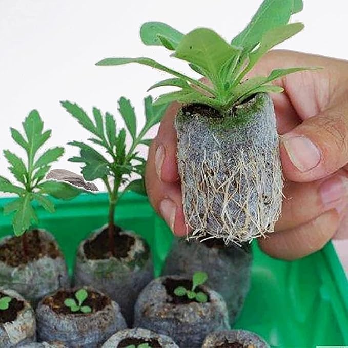 Woohome 150 PCS Peat Pellets Seeding Soil with Plant Label, Nutrient Block Compressed Peat Block, Plastic Plant Tags and Loose Soil Tool for Indoor Outdoor Gardening Seedling Transplanting Growing