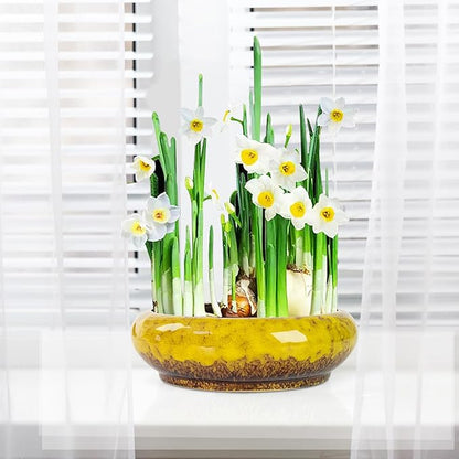 Lotus Bowl Planter - 7.3 Inch Large Lotus Flower Bowl for Water Plants, Ceramic Hydroponic Planter Water Lily Bowl for Planting Aquatic and Indoor Succulent Plants and Bonsai