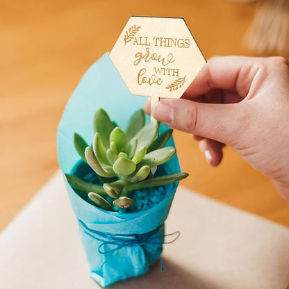 AnyDesign 30Pcs All Things Grow with Love Labels Succulent Tags Hexagon Wooden Plant Stakes Labels Garden Marker Plant Sign for Seed Potted Teacher Appreciation Gift Thanksgiving Baby Shower