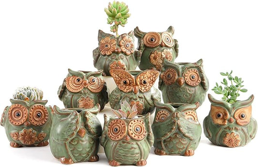 TOPZEA 10 Pack Succulent Planter Pots with Drainage Hole, Cute Owl Ceramic Small Planters Animal Tiny Flower Plant Pots Containers Indoor for Cactus, Herb, Home, Garden, Windowsill, Coffee Table Decor