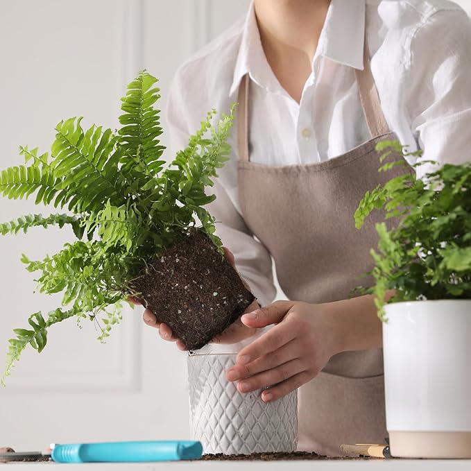 Potting Soil Mix for Fern 10qt, Custom Hand Blended Mixture Suitable for Indoor/Outdoor Potted Fern Plant