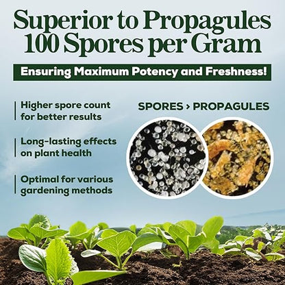 Mycorrhizal Fungi Organic Root Enhancer for Plants, Super Potent 100 Spores Per Gram, 5-Strain Blend, Rapid Results for Gardens, Houseplants, Lawns, Mycorrhizae Smart Grower 250 Grams for 250 Plants