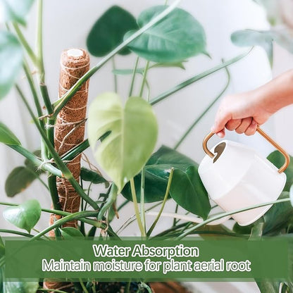 Joyhalo Moss Pole Monstera Plant Support, 6 Pcs 15.7 and 12 Inch Moss Stick for Potted Plants, Plant Pole with 65 Feet Garden Twist Tie