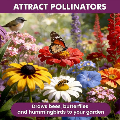 Wildflower Seeds Bulk 10000+, 1.06oz Butterfly Hummingbird Mix, 21 Variety Perennial Annual Mix, Non-GMO Heirloom Flower Seeds for Planting Outdoor Indoor, High Germination Rate Garden Seeds
