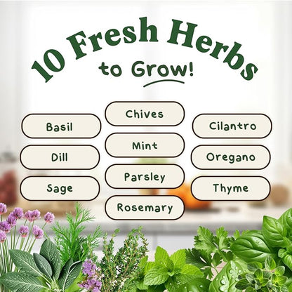 Seedboy Organic Non GMO 10 Herb Variety Pack: Basil, Cilantro, Mint, Oregano, Parsley, Thyme, Chives, Dill, Sage, Rosemary for Planting Indoor and Outdoor, USDA Certified (10 Herb Variety Pack)