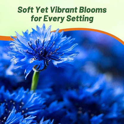Outsidepride Blue Cornflower Seeds for Planting - 1 lb. Annual Bachelor's Button Flower Seeds for Cut Flower Gardens, Drought-Tolerant, Attracts Pollinators, Ideal for Borders & Bouquets