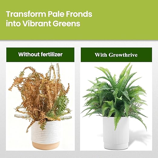 Fern Liquid Fertilizer – Natural Organic Plant Food for Ferns, Indoor & Outdoor Use, 300ml Concentrated Probiotic Formula for Greener Leaves, Strong Roots & Healthy Growth