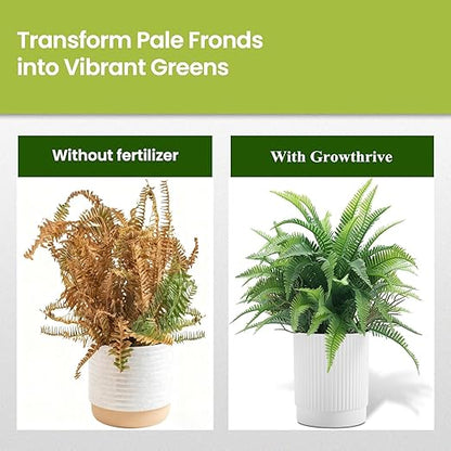 Fern Liquid Fertilizer – Natural Organic Plant Food for Ferns, Indoor & Outdoor Use, 300ml Concentrated Probiotic Formula for Greener Leaves, Strong Roots & Healthy Growth