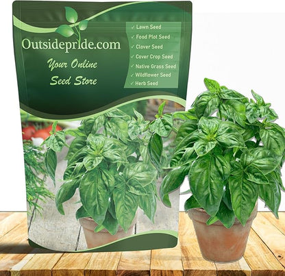 Outsidepride Genovese Sweet Basil Seeds for Planting - 1/2 lb. Easy to Grow Annual Herb Garden Seeds with Aromatic & Flavorful Foliage for Containers, Companion Planting, Indoors & Outdoors