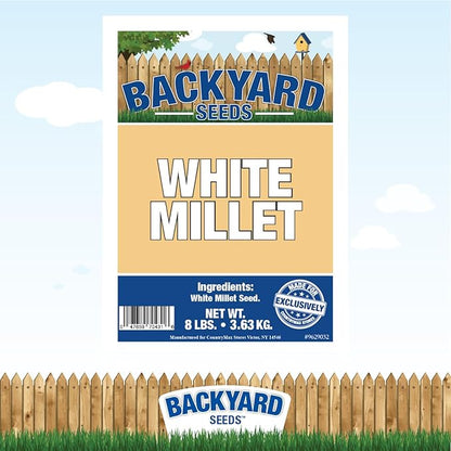 CountryMax Backyard Seeds White Millet Bird Seed for Finches 8 Pounds (8 Pounds)