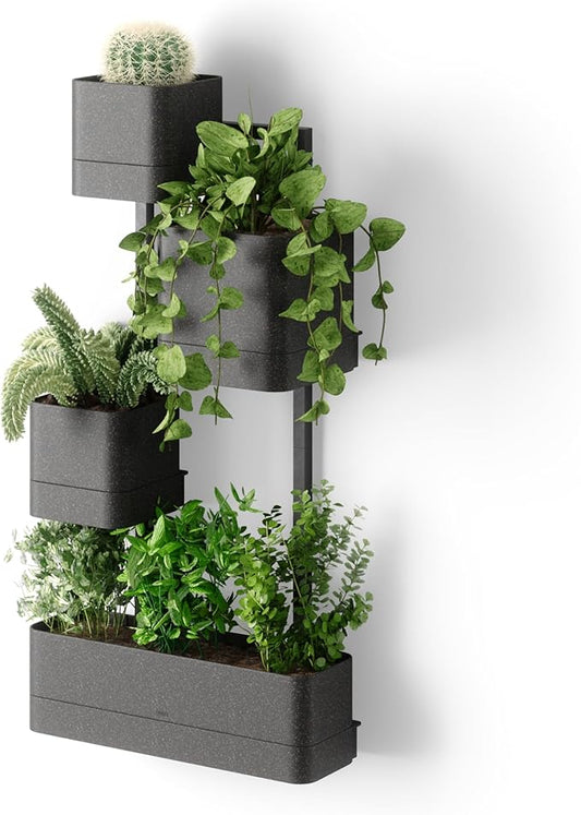 Umbra Cubiko Wall Planter with 4 Lightweight and Durable Pots (Black)