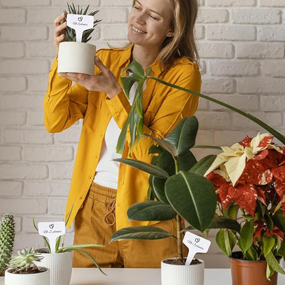 95pcs Plastic Plant Labels, 6x10cm Waterproof Plant Name Tags for Identifying Outdoor and Indoor Seedling, Herbs, Vegetables, Flowers, Potted Plants (White, 95pcs)