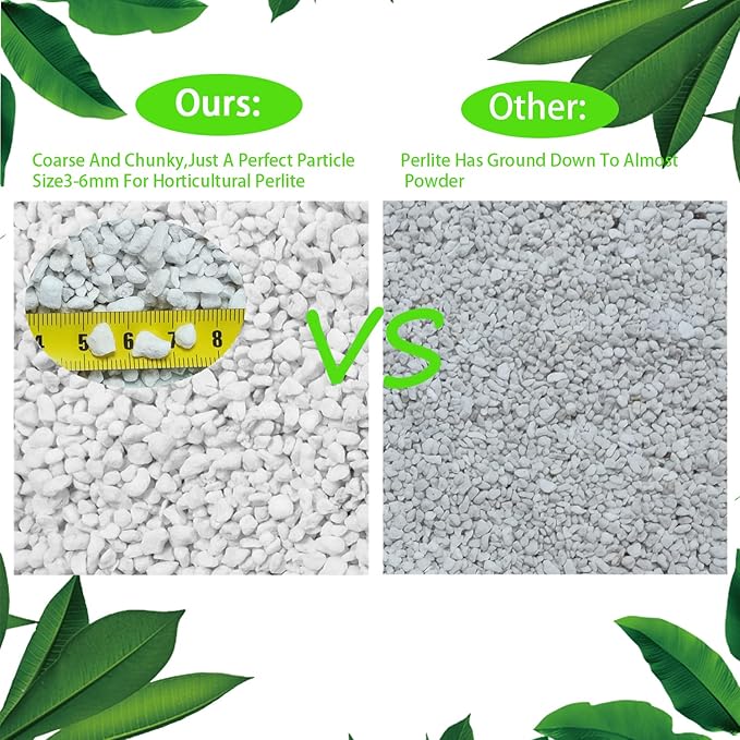 Natural Organic Perlite 2QT for Plants Potting Mix Indoor Outdoor Garden Soil Amendment for Enhanced Drainage, Seed Starter, Root Growth for Succulents, Cactus, Orchids, Money Trees, Vegetables