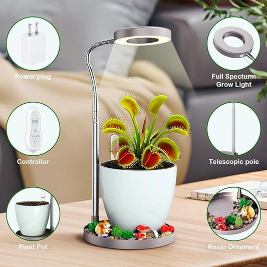 Venus Fly Trap Terrarium,Butterwort Plant Live Pot,Not Live Plant, Keeps Potted Soil Moist Makes a Great Gift Choice, Home Office Decor (White)