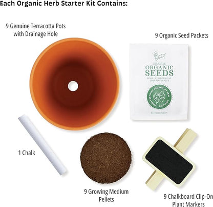 BUZZY Seeds Apothecary Garden Wellness Kit with 9 Varieties of Non-GMO Flower and Herb Seeds, Terracotta Pots, Growing Medium, and Plant Markers, a Self-Care Gift for Holistic Living
