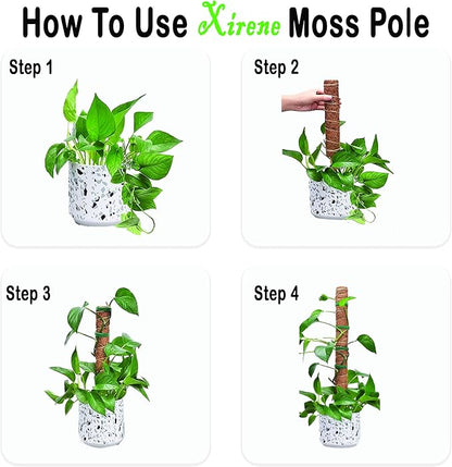 4 Pcs Moss Pole Extending to 51.1 Inches for Plants Monstera, Coco Coir Moss Sticks for Indoor Plants Support Stakes for Climbing Plants Grow Upward with Jute Rope, Tool Set and Hook-Loop Strip