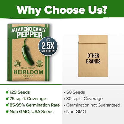 HOME GROWN Non GMO Jalapeno Pepper Seeds 129 Heirloom Seeds (Capsicum annuum) High Germination, Easy to Grow, Early Harvest Hot Peppers