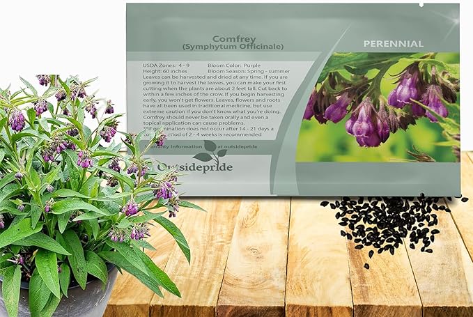 Outsidepride Comfrey Seeds - 200 Pcs. Perennial, Drought-Tolerant & Low Maintenance, Herb Seeds for Planting Tall, Vibrant Bell-Shaped Purple Blooms for Versatile Uses & Pollinator Gardens