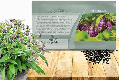 Outsidepride Comfrey Seeds - 200 Pcs. Perennial, Drought-Tolerant & Low Maintenance, Herb Seeds for Planting Tall, Vibrant Bell-Shaped Purple Blooms for Versatile Uses & Pollinator Gardens