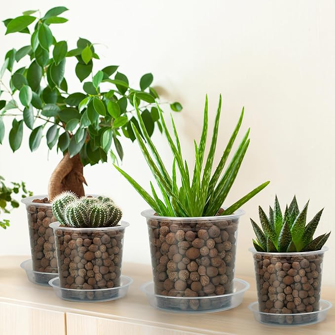 6 Pack Clear Plant Saucer, Durable Plant Drip Trays Saucers for Pots, No Holes Water Catcher Trays for Indoor Outdoor Planter, Sturdy Base Plate(6", Clear)
