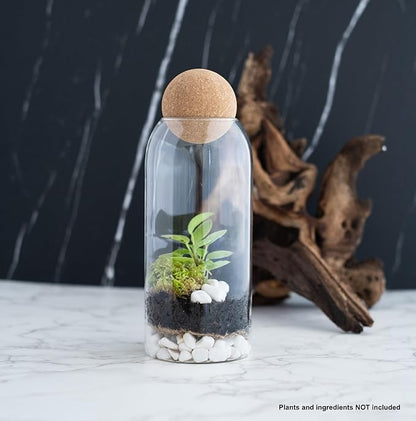 Glass Terrariums with Airtight Wooden Lid (Ball Cork) | Closed Terrarium Planters | Clear Glass Bottle Jar Containers | Set of 3 | Jars for Indoor Plants/Moss (Set of 3 (1200ml / 40oz))