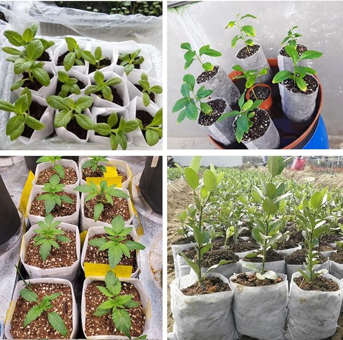 200Pcs Nursery Growing Bags, 5.8"x5" Small Grow Bag for Plants, Fabric Plant pots, Potato, Flower, Tomato Solid Seed Starter