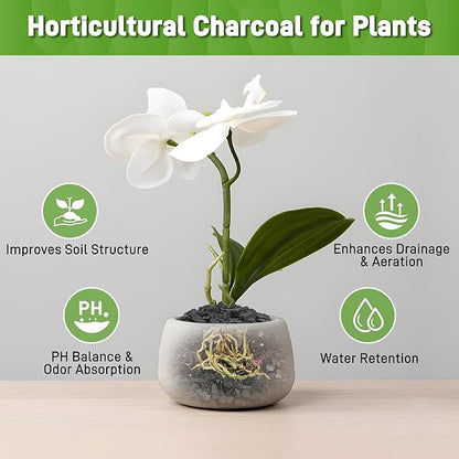 9 Quarts Horticultural Charcoal for Indoor Plants-Hardwood Potting Soil Amendment for Orchids, Succulent, Cactus, Terrariums, and Gardening
