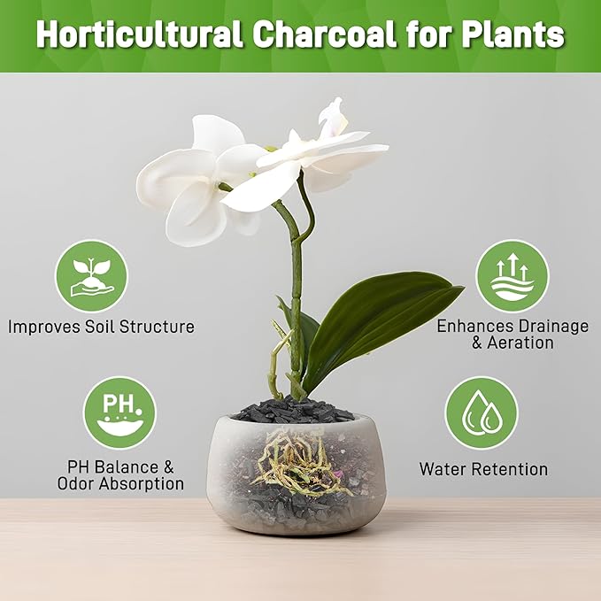 2 Quarts Horticultural Charcoal for Indoor Plants-Hardwood Potting Soil Amendment for Orchids, Succulent, Cactus, Terrariums, and Gardening