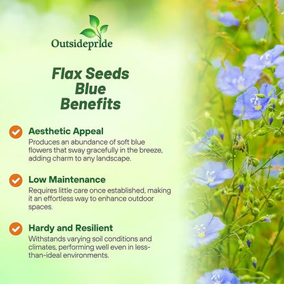 Outsidepride Blue Flax Seeds - 5 lbs Perennial Flower Seeds for Planting, Self-Seeding, Drought-Tolerant w/Compact Growth, Ideal for Small Gardens, Meadows, Borders, or Mass Plantings