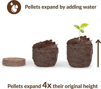 Ferry-Morse 36mm Coconut Coir Pellets Refill - 1500 Pack